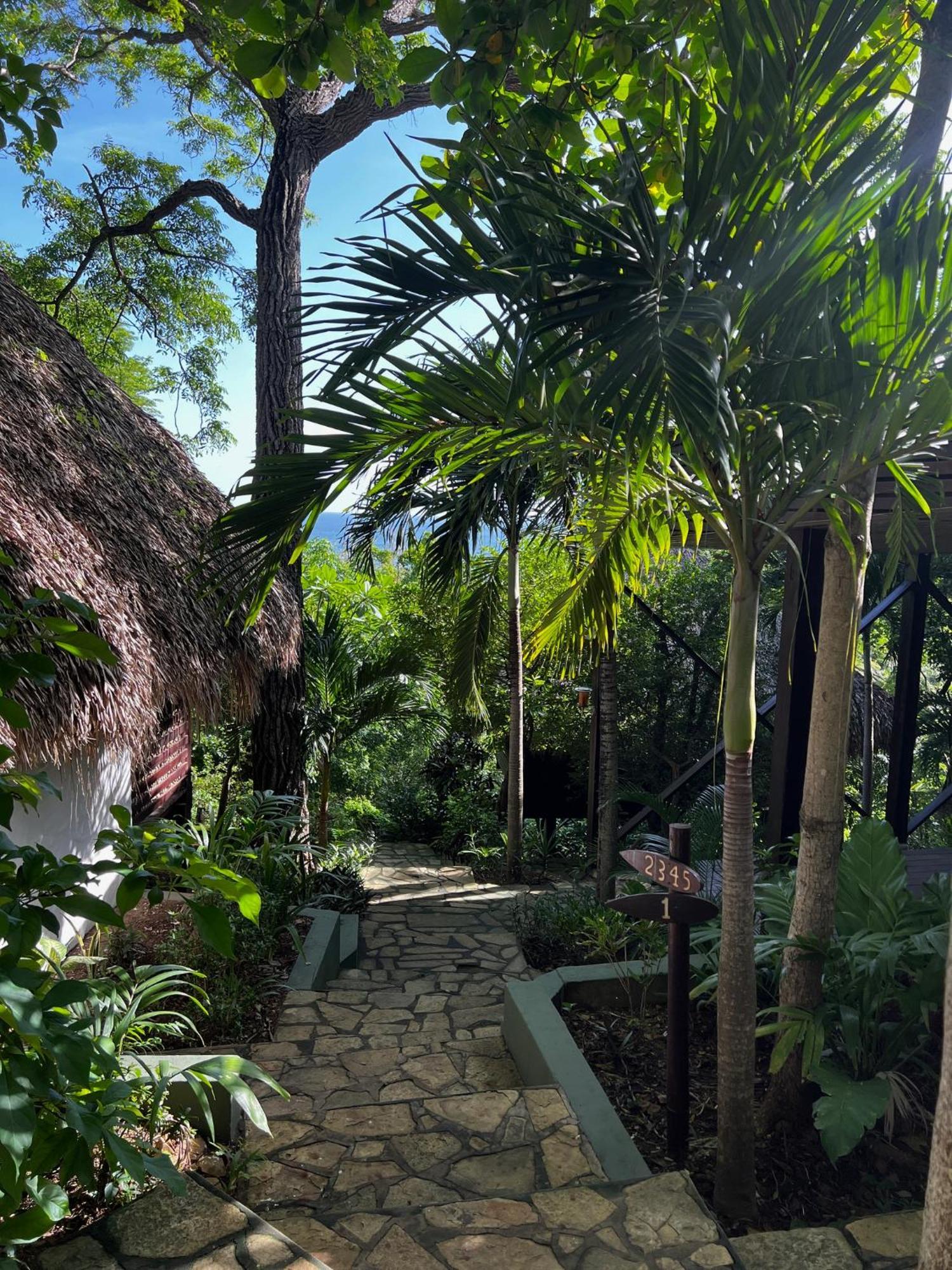 Buena Vista Surf Club Hotel El Plantel Exterior foto